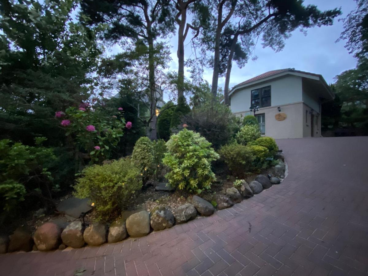 Ailim House Serviced Cottage Escape, Around The Corner From The Old Course Σεντ Άντριους Εξωτερικό φωτογραφία