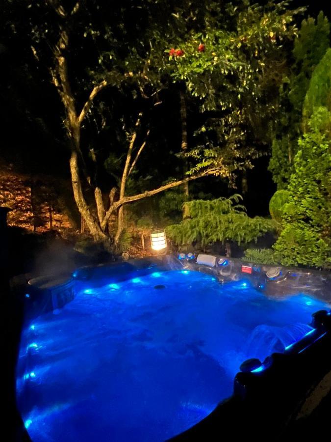 Ailim House Serviced Cottage Escape, Around The Corner From The Old Course Σεντ Άντριους Εξωτερικό φωτογραφία